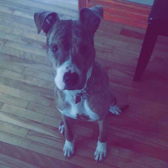 Meet your Posher, Colton - Picture 1 of 1